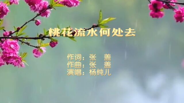 歌曲《桃花流水何处去》带你品味常德山水之美