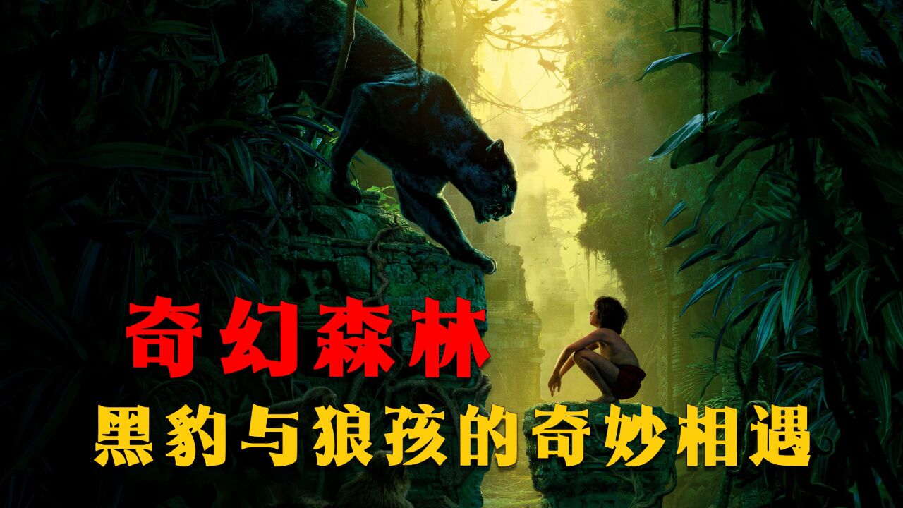 黑豹与狼孩的奇妙遭遇，老虎一路追杀狼孩，狼孩开启冒险之旅！_高清1080P在线观看平台_腾讯视频