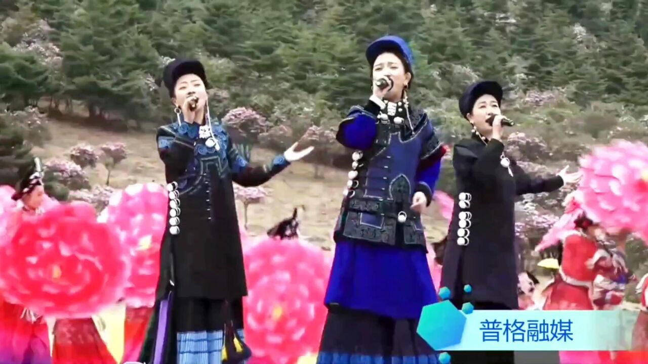 日都迪萨|沙玛诗薇 季琳 吉克媛媛