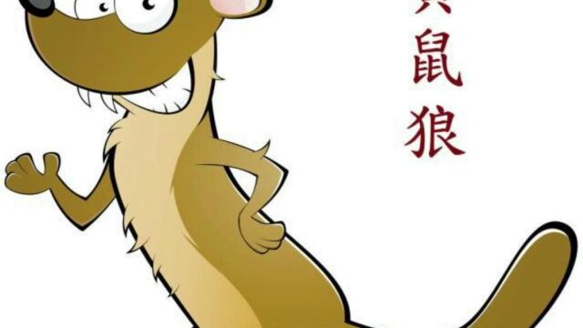 15班 郑宇彤《黄鼠狼》视频