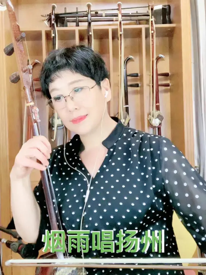 二胡演奏 #烟雨唱扬州#国风古韵 #好听的声音 #民族乐器