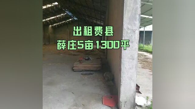 出租 费县薛庄厂房,占地5亩,大棚1300平,水电齐全,3亩院子能走大车,一年6万.#工业厂房 #工业地产 #独门独院