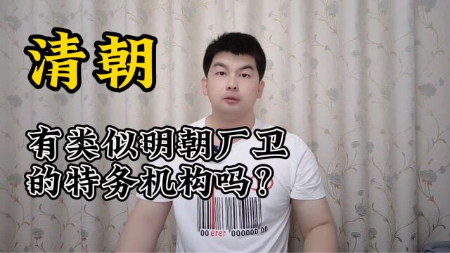 清朝有类似明朝“厂卫机构”这样的特务机构吗?