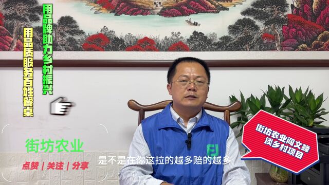 街坊农业阎文峰:再次提醒乡村项目参与者不能赊销