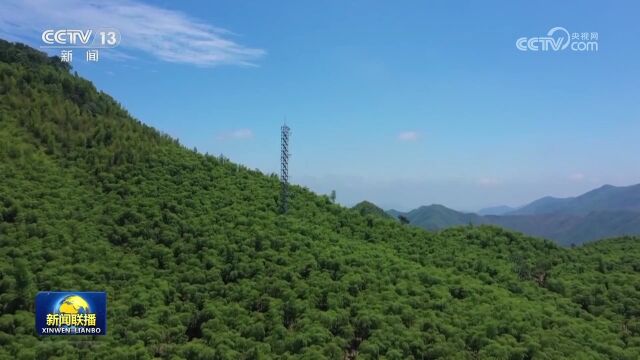 【新思想引领新征程】坚持绿色发展 建设美丽中国