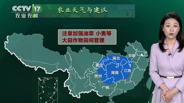 农业天气与建议,注意加强油菜、小麦等,大田作物田间管理