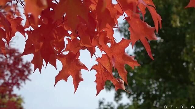 项目位置 半岛印象 项目面积 427㎡ 设计风格 现代简约 项目所属 高展别墅装饰#高展别墅装饰 #苏州别墅装修