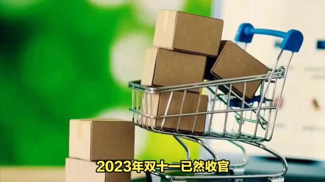 杨建允:2023年双十一已然收官,给商家和品牌带来了新的思考