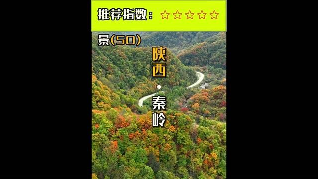 神农架位于中国湖北省西部,是一个充满神秘和原始美的地方.