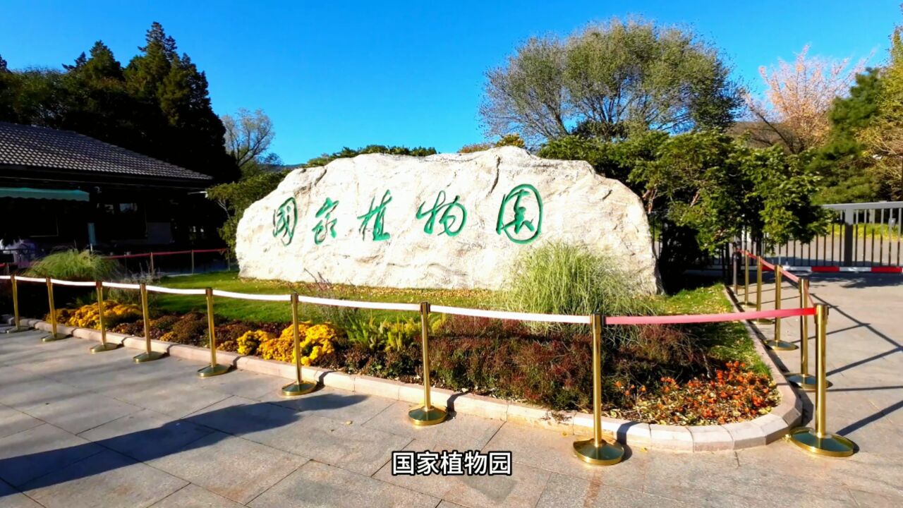 2023-11-11首游国家植物园