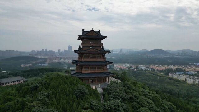 消夏休闲好去处!枣庄临山公园松林葱郁风景美