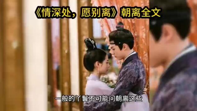 情深处,愿别离&朝离全文免费阅读【完整无删减小说】