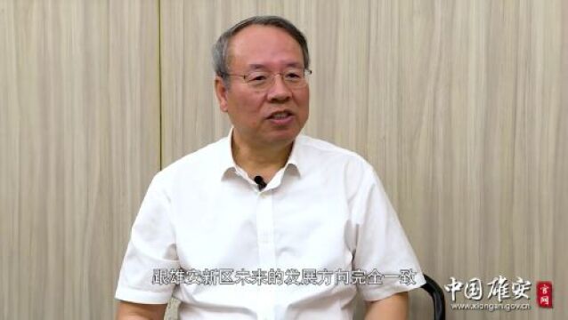 雒建斌院士:以清洁能源技术革新驱动雄安高质量发展