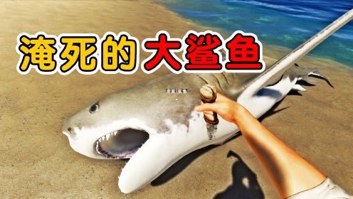 荒岛求生26：捡到一条淹死的大鲨鱼，我决定吃了它