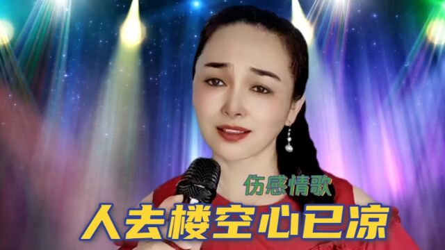 伤感情歌《人去楼空心已凉》歌声凄美催泪,旋律优美动感,真好听