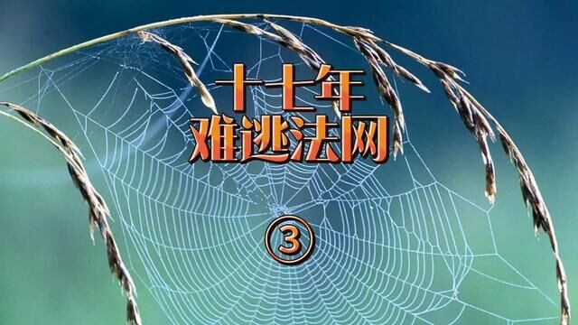 十七年难逃法网③ 湖北省广水市→2003年4月10日#大案要案侦破纪实