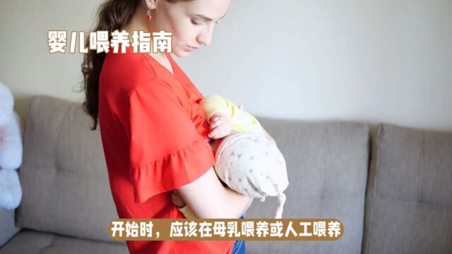 婴儿喂养指南