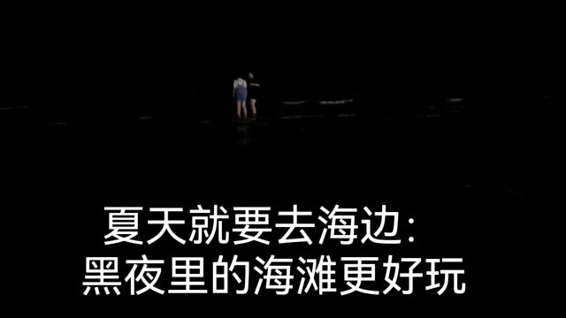 夏天就要去海边(配乐版)4:黑夜里的海滩更好玩