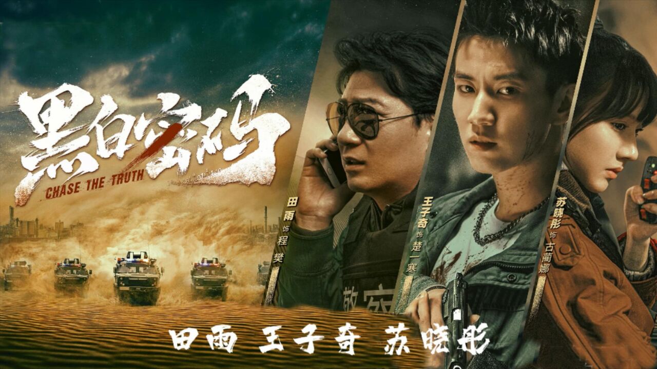 王子奇,田雨,苏晓彤,犯罪悬疑电视剧《黑白密码》16日开播