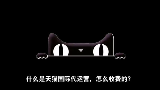 什么是天猫国际代运营,怎么收费的?手机Vx:13456737702