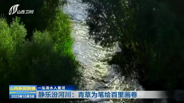 【一泓清水入黄河】静乐汾河川:青草为笔绘百里画卷