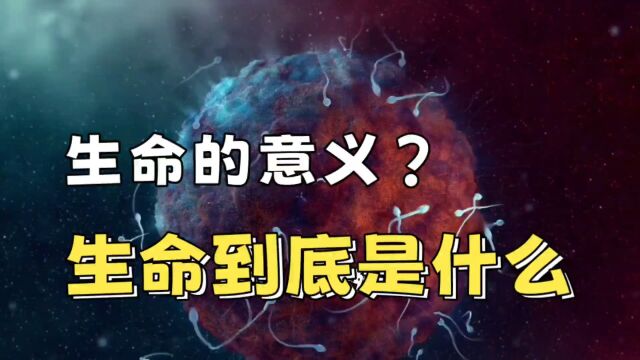 生命的意义?