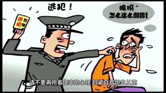 24年命案逃犯终落网!解某丽徐州被捕归案,已被押解回运城.