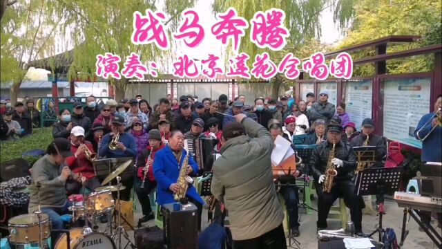 中国名曲《战马奔腾》,北京莲花合唱团演奏,场面壮观