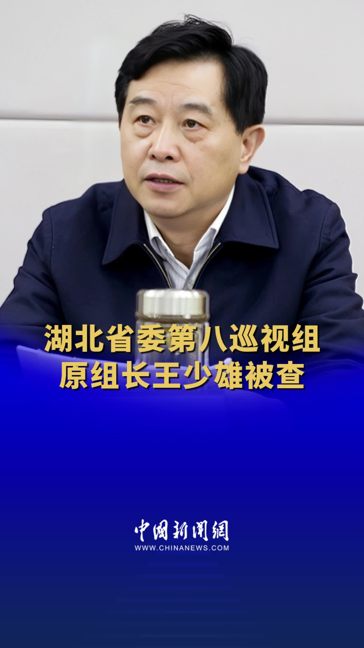 湖北省委第八巡视组原组长王少雄被查