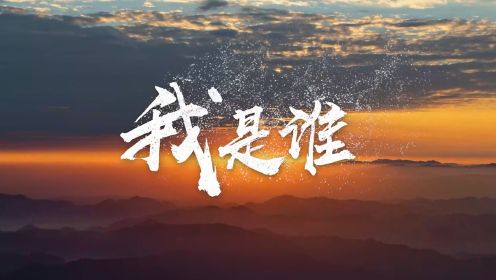 《我是谁》中文字幕版
