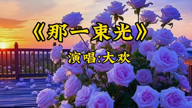 《那一束光》演唱:大欢