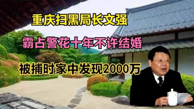 重庆扫黑局长文强:霸占警花十年不许结婚,被捕时家中发现2000万