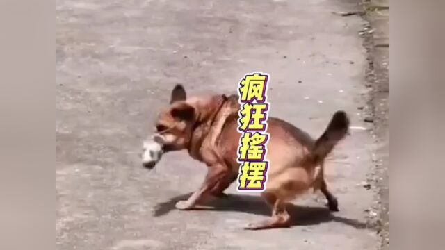 搞笑配音合集