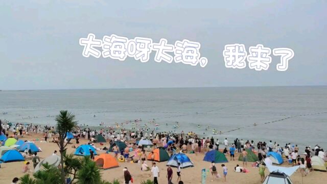 大海呀大海,我来了