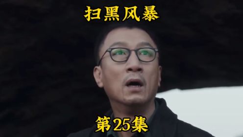 《扫黑风暴》第25集。李成阳排除阻碍，终于挖到尸体