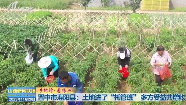 【乡村行ⷧœ‹振兴】晋中市寿阳县:土地进了“托管班” 多方受益共增收