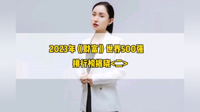 2023年财富世界500强排行榜揭晓第二集