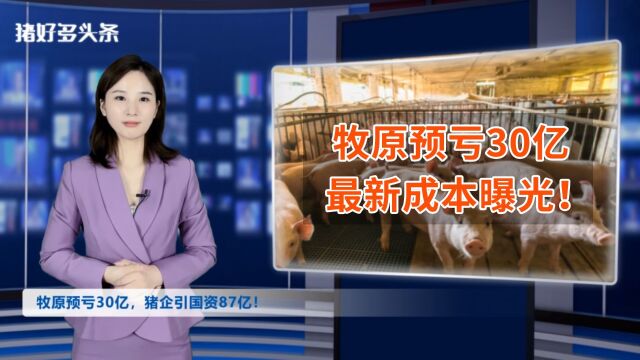 傲农减产26%,天邦减产17%!牧原预亏30亿?国资已投入87亿扶持!