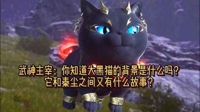 武神主宰:你知道大黑猫的背景是什么吗?它和秦尘之间又有什么故事?