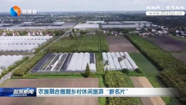 农旅融合做靓乡村休闲旅游“新名片”