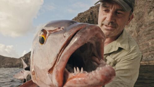 追踪巨型鱼第二季英文版_第8集_预告_太平洋火山岛的探险之旅