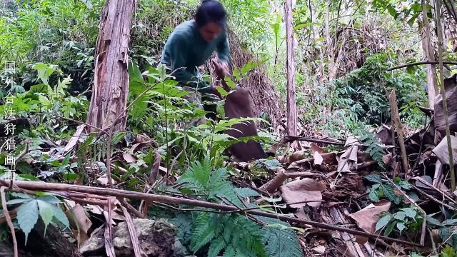 各种海鲜更是吃都吃不完#荒野建造 #庇护所建造 #荒野独居 #