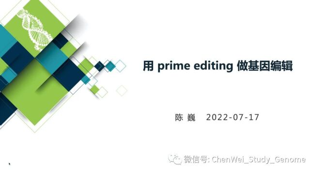 【陈巍学基因】视频:用 prime editing 做基因编辑