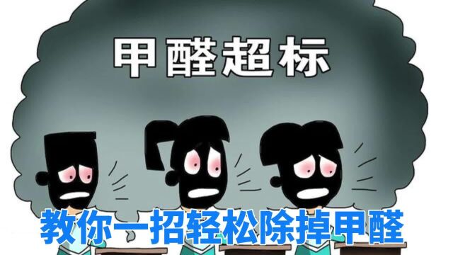 “甲醛大户”已被爆出:这3个别往家买!每天都在“释放着甲醛”