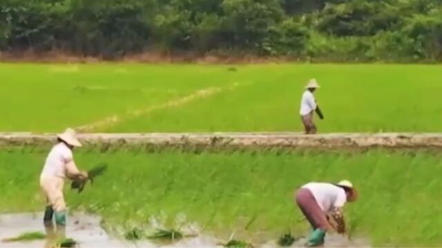 古某香一家成功脱贫,却因一起意外事故,生活再次跌入谷底