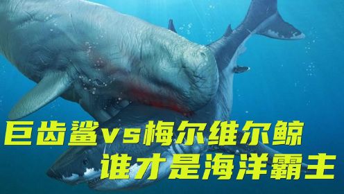 《巨齿鲨2：深渊》 巨齿鲨vs梅尔维尔鲸，究竟谁才是海洋霸主