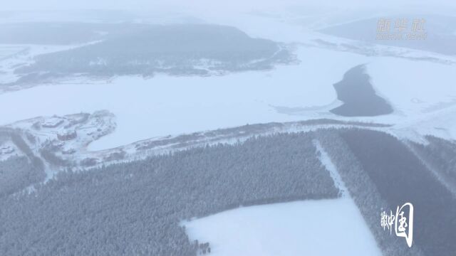 瞰中国|静湖冬韵 雪压青松