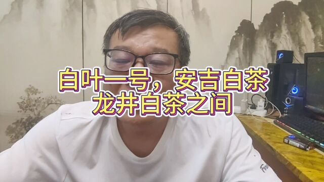 白叶一号安吉白茶龙井白茶之间的关系