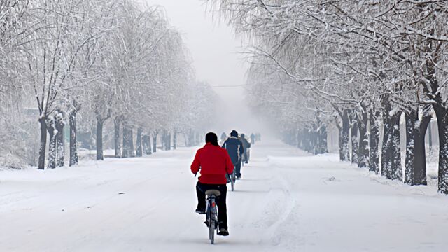 局地降温12℃以上!湖南发布寒潮蓝警