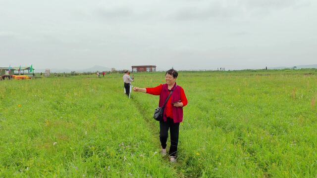 航拍河北承德市丰宁坝上草原“海留图”国家湿地公园,蒙古语意为“水草丰美的地方”